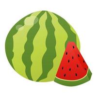 Watermelon vector illustration