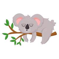 Animal illustration of koala vector