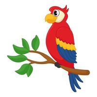 Animal illustration of parrot vector