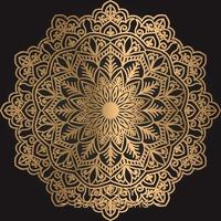 ornamental mandala design background template vector