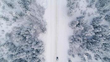 Car traveling on a snowy road in a forest video