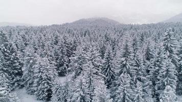 Luftaufnahme der Winterlandschaft video