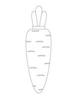 Carrot outline . Contour drawing of vegetables vector