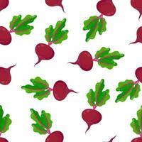 Seamless beetroot pattern on a white background. A pattern with vegetables on textiles for the kitchen. vector
