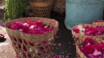 semear vendedor de flores está embalando na cesta. video