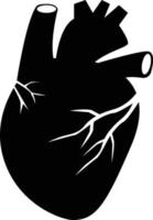 icono de órgano humano del corazón sobre fondo blanco. signo de órgano cardíaco. símbolo anatómico realista del corazón. estilo plano vector