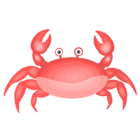 Marine Animals PNG Free Images with Transparent Background - (1,429 Free Downloads) Marine Animals PNG Free Images with Transparent Background - (1,429 Free Downloads)