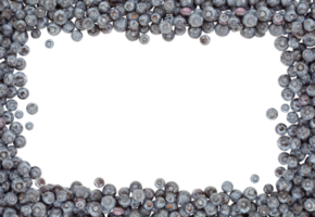 Transparent PNG Fresh Blueberries Border.