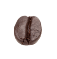 transparent png rostad kaffe böna.