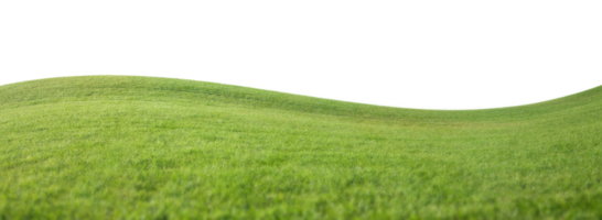Transparent PNG of Curved Grass Field Horizon.