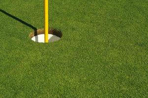 Lush, Freshly Mowed Golf Green and Flag photo