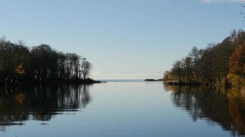 flod höst landskap, träd växande längs de banker, reflexion i de vatten, blå himmel se från de mitten av de flod video