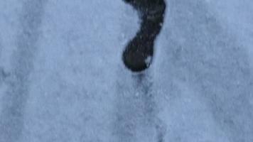 pie grande, huellas de pies descalzos humanos en la nieve fresca video