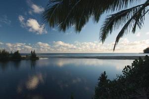 Tropical Sunset with Palm Trees photo