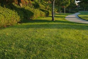 Neighborhood Sidewalk View photo