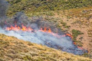 Dry Brush Wild Fire Spreading Quickly photo