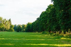 Background image of lush grass field photo