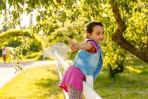 Little girl standing on fence at the ranch of wildflowers photo