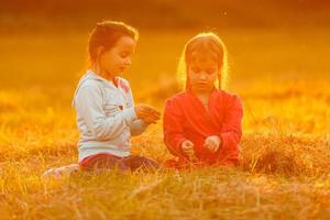 Two happy little sisters on the field. photo