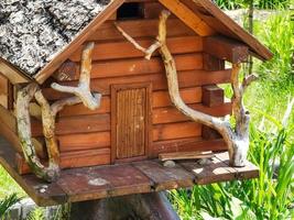 The tree house with a staircase and a slide for the children's games photo