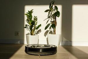 Robot vacuum cleaner cleaning the floor in cozy living room. photo