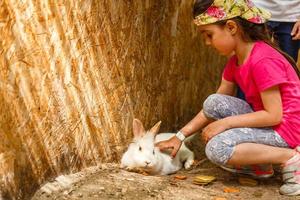 little girl in a contact zoo photo