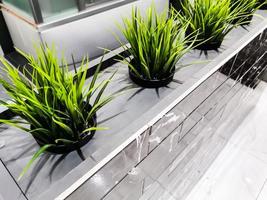 Interior design of a luxury bathroomand decorative pots with plants on the counter. photo