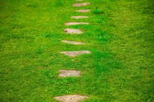 stone path on lawn photo