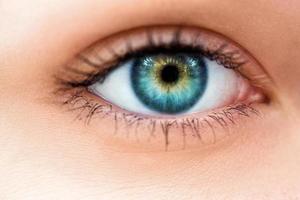 Macro photo of woman eye with make up