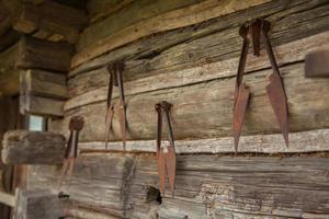 rusty shears sheep hanging photo