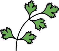 diseño de icono de vector de cilantro