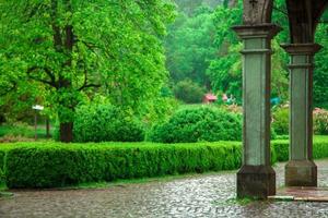 columna y jardín verde foto