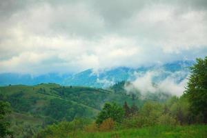 paisaje de montaña con nubes flotando entre los árboles foto