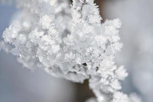 Ice crystals froze in all directions. Abundant textured and bizarre shapes were formed