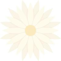 Dandelion Vector Icon Design