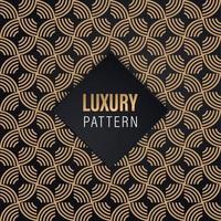 Luxury pattern texture decoration elegant and modern design vector