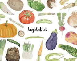 Watercolor background with various vegetables on white background, top view, flat layout. Concept of healthy eating, food background. Frame of vegetables vector