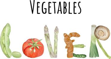 Watercolor background with various vegetables on white backgroun vector