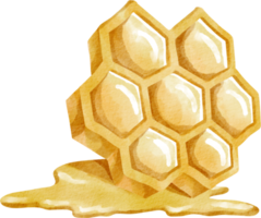 watercolor honey comb png