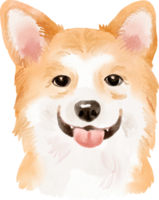 watercolor dog corgi png
