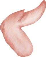 watercolor chicken wing png