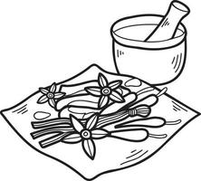 Hand Drawn Chinese herbs Chinese and Japanese food illustration vector