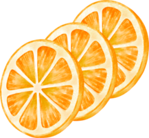 rodaja de naranja acuarela png