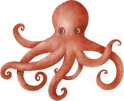 Aquarell Oktopus ClipArt png