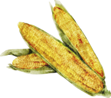 vegetal de maíz acuarela png