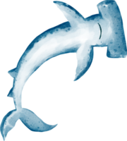 watercolor shark sea animal png