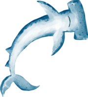 tiburón acuarela animal marino png