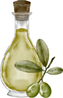 huile d'olive aquarelle png