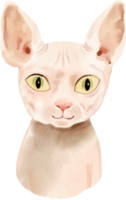 chat aquarelle spinx png