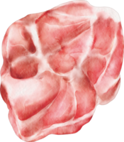 carne de aquarela png